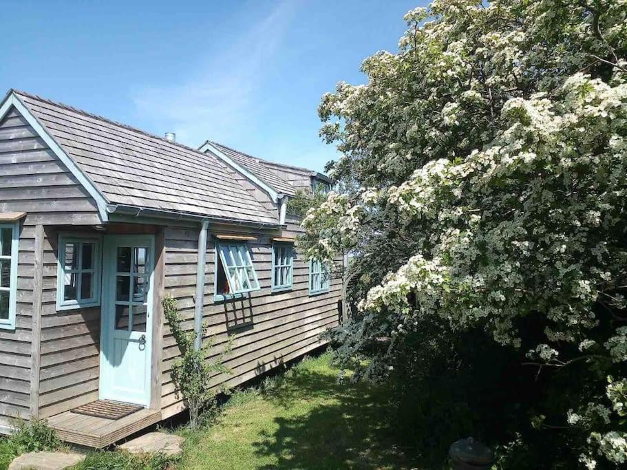 Tiny House On Isolated Farm By The Cornish Coast Villa Bude Eksteriør bilde